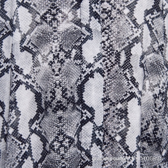 Zara Snake Print Full Skirt Shirt Maxi Dress XS - Picture 4 of 4